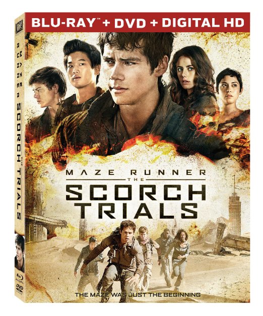 A1juiFVrfRL. SX522 Maze Runner: The Scorch Trials