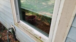 2022 05 28 12.25.51 300x169 Cats, cats, more cats, cats helping with the lawn, cats on the floor, and InfinityCon 2024