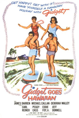 MV5BMTU5ODU2NzY0OV5BMl5BanBnXkFtZTgwMTExMjkwMzE@ Gidget Goes Hawaiian