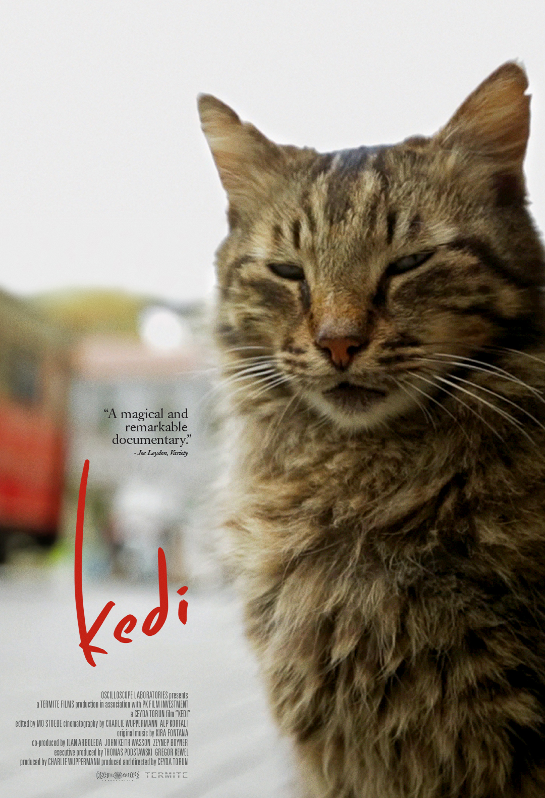 MV5BMjEwNTM2NDE0Nl5BMl5BanBnXkFtZTgwMzMzNTc4MDI@ Kedi